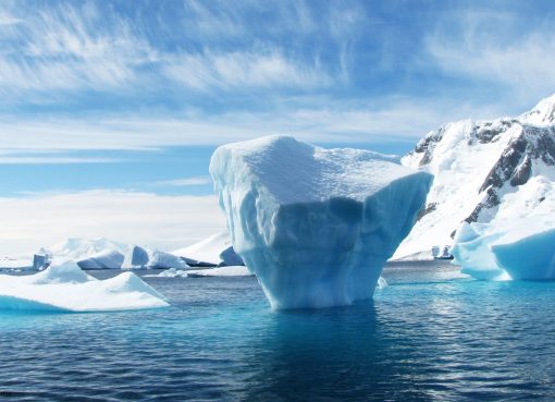 Comprehensive Tour Guide to Antarctica Introduction Antarctica, the southernmost continent, is renowned for its stark beauty, unique wildlife, and pristine landscapes. As the coldest, windiest, and driest continent, it presents a destination like no other for adventurers and nature enthusiasts alike. This guide provides a detailed overview of traveling to Antarctica, covering essential information, itineraries, wildlife, safety, and environmental considerations. 1. Planning Your Trip 1.1 Best Time to Visit The Antarctic travel season runs from late October to early March, coinciding with the Southern Hemisphere’s summer. During this period, temperatures are milder, and wildlife is more active. • October-November: Spring season, with ice melting and penguins nesting. • December-January: Warmest months; perfect for wildlife viewing and longer daylight hours. • February-March: Late summer; ideal for whale watching and seeing penguin chicks. 1.2 Travel Options Traveling to Antarctica typically involves a cruise or guided expedition. Most travelers depart from Ushuaia, Argentina, the southernmost city in the world. • Cruise Ships: Offer varying levels of luxury and comfort, from budget options to luxury liners. • Expedition Ships: Smaller vessels that allow for more intimate exploration and landings. 1.3 Cost Expect to spend between $5,000 and $15,000 per person, depending on the cruise type, length of stay, and onboard amenities. Costs typically include accommodation, meals, and guided tours. 2. Getting There 2.1 Flight to Ushuaia Most trips begin with a flight to Ushuaia. Several airlines connect major cities like Buenos Aires and Santiago to Ushuaia. 2.2 Crossing the Drake Passage Travelers must cross the Drake Passage to reach Antarctica. This stretch of water can be turbulent, but it is a vital route for accessing the continent. 3. Itineraries and Destinations Antarctic itineraries can vary significantly. Here’s a sample itinerary to give an idea of what to expect. Day 1-2: Departure from Ushuaia • Boarding the ship and orientation. • Sail through the Beagle Channel and into the Drake Passage. Day 3-4: Drake Passage • Experience the stunning scenery while at sea. • Attend lectures and presentations about Antarctica’s ecology and history. Day 5-8: Antarctic Peninsula • Land on various islands and sites, including: o Deception Island: A volcanic caldera with hot springs and a historical whaling station. o Half Moon Island: Home to a Gentoo penguin colony. o Lemaire Channel: Known for its breathtaking scenery and wildlife sightings. o Port Lockroy: A former British research station and now a museum. Day 9-10: South Shetland Islands • Visit islands such as: o King George Island: Home to research bases and diverse wildlife. o Livingston Island: Famous for its diverse landscapes and seal populations. Day 11-12: Return Journey • Retrace your path through the Drake Passage, with additional talks and opportunities to observe seabirds and marine life. 4. Wildlife Encounters Antarctica is teeming with unique wildlife, making it a prime destination for animal lovers. 4.1 Penguins • Emperor Penguins: The largest species, found primarily on the sea ice. • Adélie Penguins: Smaller and found along the entire Antarctic coast. • Gentoo Penguins: Known for their bright orange beaks and distinctive white stripe on their heads. 4.2 Seals • Weddell Seals: Often found lounging on ice and known for their ability to dive deep. • Leopard Seals: Recognizable by their spotted coats and predatory nature. • Crabeater Seals: Named for their primary diet of krill. 4.3 Whales Common species include: • Humpback Whales: Known for their acrobatics and songs. • Orcas: Often seen hunting in pods. • Blue Whales: The largest animal on Earth, occasionally spotted. 4.4 Birds • Albatrosses: Majestic seabirds known for their large wingspans. • Petrels: Often seen gliding effortlessly over the waves. 5. Activities and Excursions While onboard, guests can partake in various activities designed to enhance their experience. 5.1 Zodiac Excursions These inflatable boats allow for close-up views of icebergs, seals, and penguins while navigating through the ice. 5.2 Kayaking Guided kayaking excursions offer a unique perspective of the landscape and wildlife. 5.3 Camping Some tours offer overnight camping on the ice for an immersive experience. 5.4 Photography Workshops For photography enthusiasts, onboard workshops and guided excursions can help capture stunning images of the landscape and wildlife. 6. Safety Considerations 6.1 Health Precautions • Medical Facilities: Ships are equipped with basic medical facilities, but it’s wise to carry personal medications. • Travel Insurance: Essential for covering potential medical emergencies and trip cancellations. 6.2 Environmental Safety • Leave No Trace: Adhere to strict environmental guidelines to minimize human impact. • Wildlife Interaction: Maintain a respectful distance from wildlife; do not feed or touch animals. 7. Environmental Responsibility Antarctica is a fragile ecosystem, and responsible tourism is essential to preserving its beauty. 7.1 Guidelines for Visitors • Follow the International Association of Antarctica Tour Operators (IAATO) guidelines. • Stick to designated paths and respect wildlife. 7.2 Climate Change Awareness • Understand the impacts of climate change on polar regions and engage in discussions about conservation efforts. 8. Cultural Insights 8.1 Research Stations • Antarctica is home to numerous research stations operated by different countries. While visiting, learn about the scientific work being done to study climate change and wildlife. 8.2 Historical Context • Explore the rich history of exploration, including the stories of famous explorers like Ernest Shackleton and Robert Falcon Scott. Conclusion A journey to Antarctica is an unforgettable adventure, offering stunning landscapes, unique wildlife, and the chance to explore one of the most remote places on Earth. Proper planning, respect for the environment, and a spirit of adventure will ensure a fulfilling experience in this majestic, icy wilderness. Whether you're cruising through icy waters, observing wildlife, or simply taking in the breathtaking scenery, Antarctica promises to leave a lasting impression. Additional Resources • Books: "Endurance: Shackleton's Incredible Voyage" by Alfred Lansing and "Antarctica: An Intimate Portrait of a Mysterious Continent" by G. J. K. Irwin. • Websites: IAATO for guidelines and safety tips, and expedition cruise companies for itinerary options. Final Tips • Be prepared for changing weather conditions. • Pack appropriately: layers, waterproof clothing, and sturdy footwear. • Embrace the experience; take time to soak in the natural beauty around you. This guide aims to equip you with essential knowledge for your Antarctic adventure, ensuring you’re well-prepared for an awe-inspiring journey to the end of the Earth.