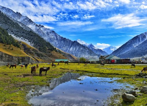 Kashmir: A Complete Tour Guide Kashmir, often referred to as "Paradise on Earth," is a mesmerizing destination that enchants travelers with its unparalleled natural beauty, majestic landscapes, and cultural richness. A Kashmir tour is a journey into the heart of the Himalayas, where snow-clad mountains, serene valleys, crystal-clear lakes, and ancient gardens weave together an unforgettable experience. We will explore the popular destinations, activities, and travel tips to ensure you have the perfect Kashmir tour experience. 1. Introduction to Kashmir Kashmir is located in the northernmost region of India, in the state of Jammu & Kashmir. It is divided into three main regions: Jammu, the Kashmir Valley, and Ladakh. The valley of Kashmir, which includes famous destinations like Srinagar, Gulmarg, Pahalgam, and Sonmarg, is celebrated for its stunning landscapes, pleasant climate, and cultural heritage. The best time to visit Kashmir is during the summer months (April to October), but winter offers its own charm with snow-covered mountains and opportunities for winter sports. 2. Popular Destinations in Kashmir A. Srinagar: The Heart of Kashmir Srinagar, the summer capital of Jammu & Kashmir, is the starting point for most Kashmir tours. Known for its iconic Dal Lake and houseboats, Srinagar offers a blend of natural beauty and cultural richness. Below are some must-visit places and activities in Srinagar: • Dal Lake: Dal Lake is the jewel of Srinagar, a vast expanse of water where houseboats float gracefully. A shikara (traditional wooden boat) ride on Dal Lake offers a peaceful and scenic experience. Visitors can explore floating gardens, and markets, and take in panoramic views of the surrounding mountains. • Mughal Gardens: The Mughal Gardens of Srinagar are a testament to the grandeur of Mughal architecture and landscaping. The most famous gardens include Shalimar Bagh, Nishat Bagh, and Chashme Shahi, each offering stunning views of Dal Lake and the Zabarwan Range. These gardens are adorned with terraced lawns, fountains, and vibrant flowers. • Shankaracharya Temple: Perched atop a hill, this ancient temple dedicated to Lord Shiva offers breathtaking views of Srinagar and Dal Lake. The temple has both religious and historical significance and is a must-visit for its scenic beauty. • Hazratbal Shrine: The Hazratbal Shrine, located on the northern shores of Dal Lake, is one of the most revered Muslim shrines in Kashmir. The white marble mosque holds a relic believed to be a hair of the Prophet Muhammad. The shrine is a place of peace and spirituality. • Local Markets: Srinagar is known for its vibrant markets where you can shop for authentic Kashmiri handicrafts, Pashmina shawls, carpets, and saffron. The local markets, including Lal Chowk, are perfect for experiencing the local culture and taking home souvenirs. Stay Options: Houseboats on Dal Lake offer a unique accommodation experience. Alternatively, there are luxury and mid-range hotels around the city. Best Time to Visit: April to October for the best weather, but if you're interested in snow, visit during the winter months (December to February). B. Gulmarg: The Skiing Paradise Gulmarg, often called the "Meadow of Flowers," is one of the most popular hill stations in Kashmir. Located about 50 km from Srinagar, it is a year-round destination famous for skiing, trekking, and the world’s highest golf course. • Gulmarg Gondola: The Gulmarg Gondola is the highest cable car in the world, reaching a height of 3,979 meters. The gondola ride offers spectacular views of the surrounding mountains, valleys, and forests. The second phase of the gondola ride takes you to Apharwat Peak, which is a popular destination for skiing and snowboarding. • Winter Sports: Gulmarg transforms into a winter wonderland from December to March, attracting skiers and snow enthusiasts from around the world. The slopes of Gulmarg offer a range of skiing experiences for beginners as well as professionals. You can also enjoy snowboarding, snowshoeing, and snow trekking. • Summer Activities: In the summer months, Gulmarg is a paradise for trekkers, nature lovers, and golfers. The meadows bloom with wildflowers, making it a picturesque destination. Adventure enthusiasts can try trekking and horse riding in the lush green valleys. Stay Options: There are several luxury resorts and mid-range hotels in Gulmarg that cater to tourists throughout the year. Best Time to Visit: Winter months (December to March) for skiing, and summer (May to September) for outdoor activities like trekking and golf. C. Pahalgam: The Valley of Shepherds Pahalgam is a beautiful hill station located about 95 km from Srinagar, renowned for its pristine beauty and proximity to the Lidder River. It is a base for many trekking routes and also serves as the starting point for the annual Amarnath Yatra. • Betaab Valley: Named after the Bollywood movie "Betaab," this valley is a stunning location surrounded by mountains, lush greenery, and crystal-clear streams. It's an ideal spot for picnics, photography, and soaking in the natural beauty. • Aru Valley: A small, serene village located about 12 km from Pahalgam, Aru Valley is perfect for trekking and camping. It is surrounded by scenic meadows, dense forests, and snow-capped peaks, making it a favorite for nature lovers and adventure seekers. • Baisaran Valley: Known as "Mini Switzerland," Baisaran is a lush meadow surrounded by dense pine forests and mountains. It’s a great place for horse riding, trekking, and enjoying panoramic views of the Pahalgam valley. • Lidder River Rafting: Adventure enthusiasts can try river rafting on the Lidder River, which flows through Pahalgam. The river offers Grade I and II rapids, making it suitable for both beginners and experienced rafters. Stay Options: Pahalgam offers a variety of accommodation options, from luxury resorts to mid-range hotels and cozy guesthouses. Best Time to Visit: March to November is ideal for outdoor activities and sightseeing, while winters (December to February) offer snow activities. D. Sonmarg: The Meadow of Gold Sonmarg is another beautiful hill station located about 80 km from Srinagar. Surrounded by towering glaciers and pristine lakes, Sonmarg is the gateway to the famous Zoji La Pass and offers numerous opportunities for trekking and adventure activities. • Thajiwas Glacier: A popular tourist attraction in Sonmarg, Thajiwas Glacier is accessible via a short trek or pony ride. The glacier remains snow-covered throughout the year, offering visitors a chance to experience snow even in the summer months. • Trekking: Sonmarg is a popular base for several treks, including the trek to Vishansar Lake, Krishansar Lake, and the Great Lakes Trek. These treks offer breathtaking views of alpine meadows, glacial lakes, and snow-capped peaks. • Zoji La Pass: Located at an altitude of 3,528 meters, Zoji La Pass connects Kashmir with Ladakh. It is one of the highest mountain passes in the region and offers stunning views of the surrounding Himalayan range. Stay Options: Sonmarg has a few hotels and guesthouses, but most visitors prefer to stay in Srinagar and visit Sonmarg as a day trip. Best Time to Visit: May to September for trekking and sightseeing; winter months (November to March) are cold and snowy. 3. Adventure Activities in Kashmir Kashmir is a haven for adventure enthusiasts, offering a variety of activities ranging from trekking to skiing. Some of the most popular adventure activities in Kashmir include: • Trekking: Kashmir offers some of the most scenic trekking routes in the Himalayas, including the Great Lakes Trek, Tarsar Marsar Trek, and the trek to Kolahoi Glacier. • Skiing and Snowboarding: Gulmarg is the main destination for skiing and snowboarding, attracting tourists from around the world. The slopes of Apharwat Peak offer a range of experiences for skiers of all levels. • River Rafting: Pahalgam and Sonmarg offer river rafting opportunities on the Lidder and Sindh rivers. The rapids range from easy to moderate, providing a thrilling experience for adventure seekers. • Horse Riding: Horse riding is a popular activity in destinations like Gulmarg, Pahalgam, and Sonmarg, where visitors can explore scenic valleys and meadows on horseback. • Camping: For those who want to experience the great outdoors, camping in Aru Valley or along the trekking routes is a fantastic way to immerse yourself in nature. 4. Cultural Experiences in Kashmir Kashmir is not just about natural beauty; it is also rich in culture, history, and tradition. Visitors can immerse themselves in the local way of life by experiencing the following: • Kashmiri Cuisine: Kashmir is known for its unique and flavorful cuisine. Some must-try dishes include Rogan Josh (a spicy lamb curry), Yakhni (a yogurt-based curry), and Gushtaba (meatballs in yogurt gravy). Don't miss out on trying Kashmiri Wazwan, a traditional multi-course meal that is a culinary delight. • Sufism and Religious Sites: Kashmir has a deep-rooted connection with Sufism, and visitors can explore several Sufi shrines, such as the Dargah of Hazratbal, Jamia Masjid in Srinagar, and the shrines of Sheikh Noor-ud-Din and Lal Ded. • Handicrafts and Souvenirs: Kashmir is famous for its intricate handicrafts, including Pashmina shawls, hand-woven carpets, papier-mâché items, and walnut wood carvings. Srinagar's local markets are the best places to shop for these authentic souvenirs. 5. Practical Travel Tips for Kashmir • Permits: While most of Kashmir is open to tourists, some areas, such as certain parts of Ladakh or near the Line of Control (LoC), may require permits. It's advisable to check with local authorities or your travel agent. • Clothing: The weather in Kashmir can be unpredictable, so it's essential to pack accordingly. In summer, light woolens are recommended, while heavy woolens are necessary for winter. If you're visiting during winter, ensure you have proper snow gear for skiing and other activities. • Safety: While Kashmir is a beautiful destination, it's important to stay updated on the current political situation. It is advisable to avoid sensitive areas and keep track of any travel advisories issued by the government. • Transport: Taxis and private cars are the most convenient modes of transportation in Kashmir. Srinagar has a well-connected airport, and regular flights operate from major cities in India. 6. Conclusion A tour of Kashmir is an unforgettable experience, offering a perfect blend of natural beauty, adventure, and cultural richness. Whether you’re gliding across the serene Dal Lake, skiing down the slopes of Gulmarg, or trekking through the pristine valleys of Pahalgam, Kashmir offers something for every traveler. With the right planning and an open heart, your journey through Kashmir will be nothing short of magical.